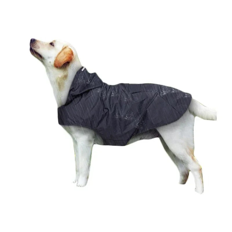 Suministros para mascotas: impermeable